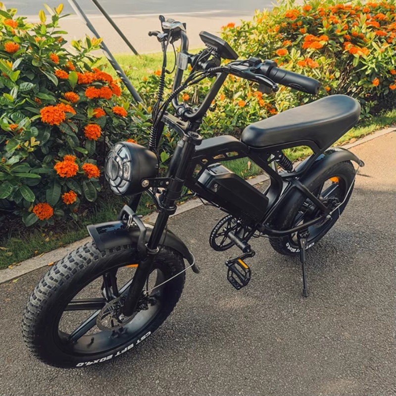 Sepeda Listrik YTYIN 2024 Buat - Electric Scooter ulasan dan harga